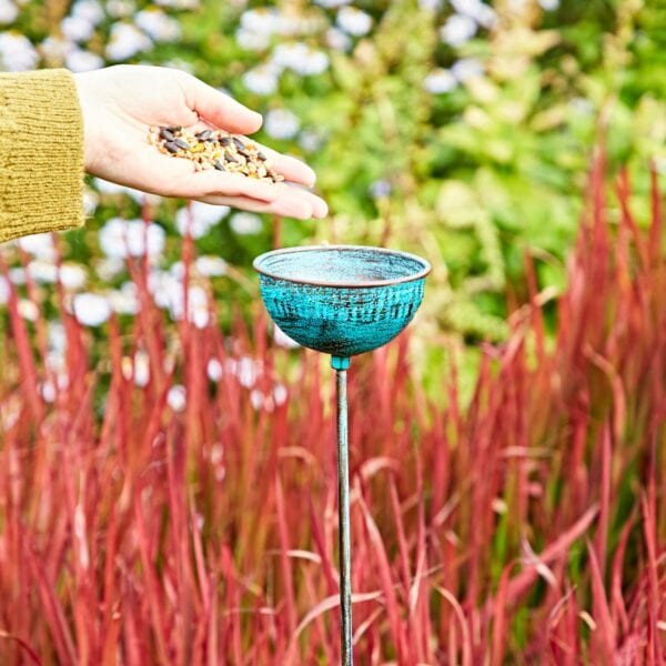 A hand in a green sweater holds birdseed over a blue ceramic bird feeder with a dragonfly motif, surrounded by red plants and a Pantala Metal Dragonfly Garden Stake Decoration.