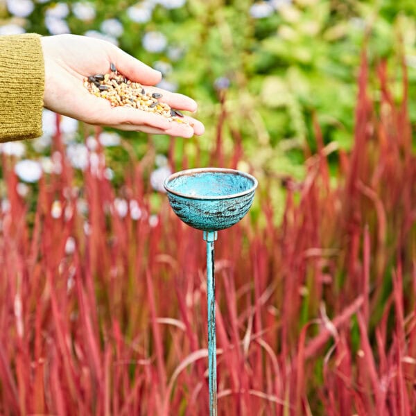 A hand sprinkles birdseed into a blue cup on the Pantala Metal Dragonfly Garden Stake Decoration, set against red ornamental grass and greenery, with dragonflies occasionally flitting by.