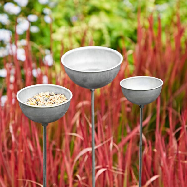 Three Silver Rain Catcher / Plant Support Stakes stand before red ornamental grass; one holds birdseed, serving as a bird feeder.