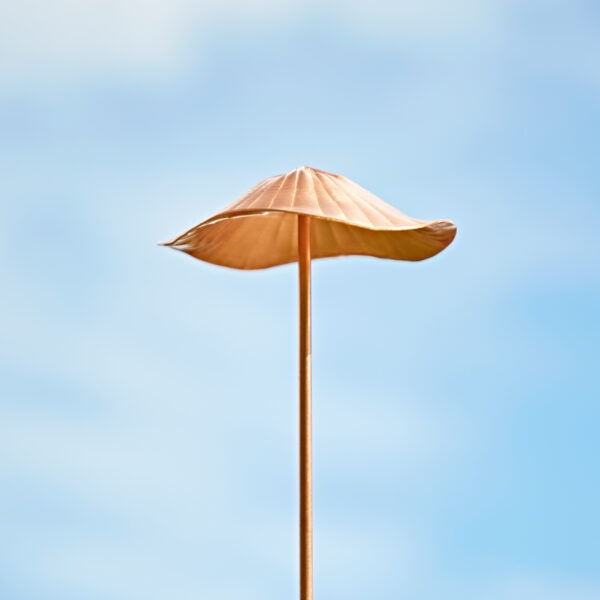 A Metal Bird Garden Stake Ornament stands tall against a clear blue sky.
