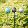 Three Recycled Iron Poppy Seed Head Garden Stake Decorations stand among green foliage, each ornament crafted from recycled iron and shaped like a poppy seed head on a slender stake.