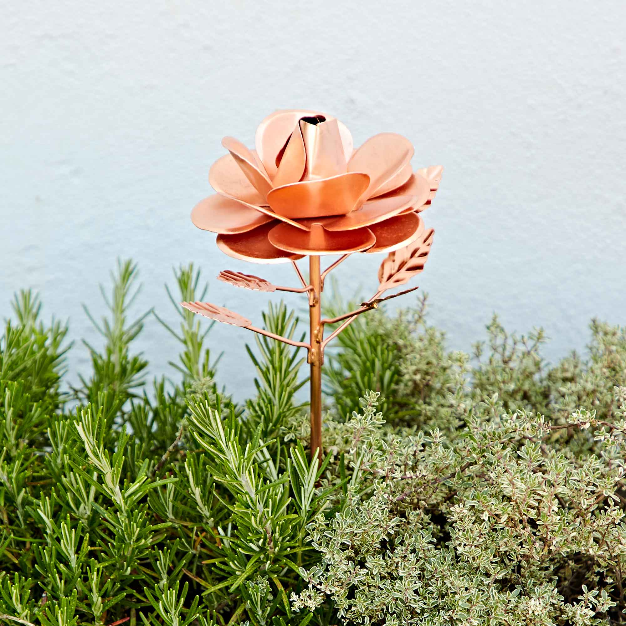 The Recycled Metal Copper Rose Garden Stake stands among green rosemary and thyme, its warm copper tones contrasting beautifully against a light gray wall.