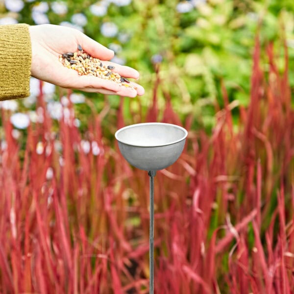A hand holding birdseed hovers above a metal bird feeder, with red and green plants and the Silver Rain Catcher / Plant Support Stake in the background.