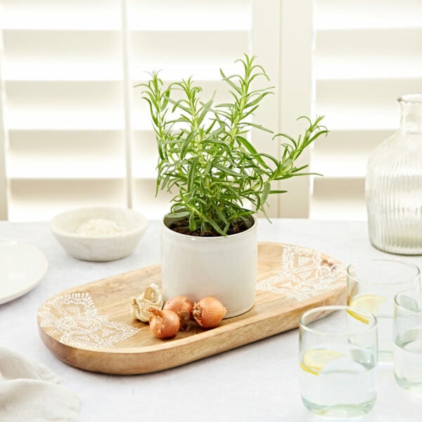 A potted rosemary plant sits elegantly on a "Round Floral Carved Mango Wood Trivet" with shallots, all set on a white surface. Glassware and a small bowl complete the arrangement.