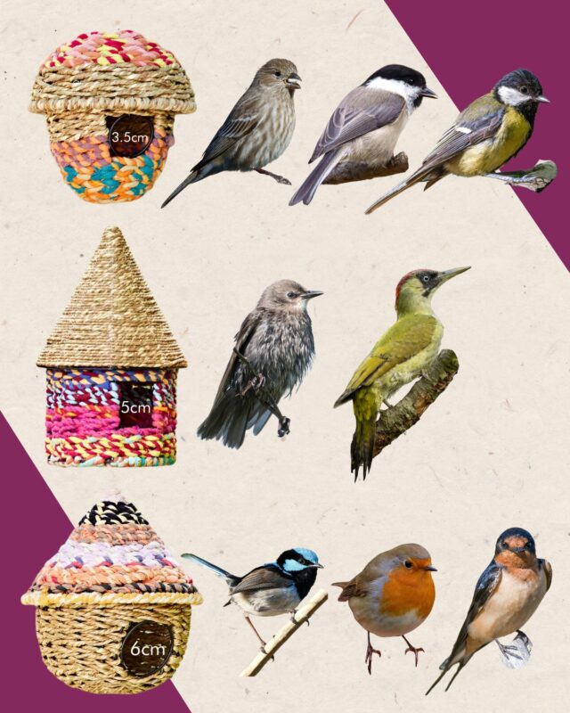 Illustration of three woven birdhouses, perfect as a Mother's Day gift, labeled with dimensions. Each is accompanied by pairs of birds on a split purple and beige background.