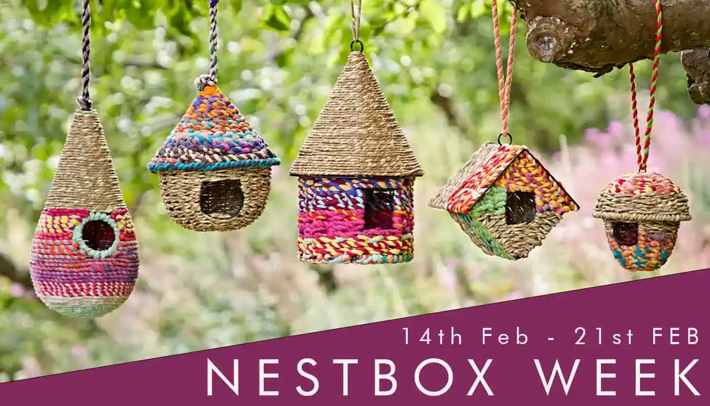 Five colorful, woven birdhouses hang from a tree branch—an ideal Mother's Day gift for nature lovers. Text at the bottom reads "14th Feb - 21st Feb NESTBOX WEEK.