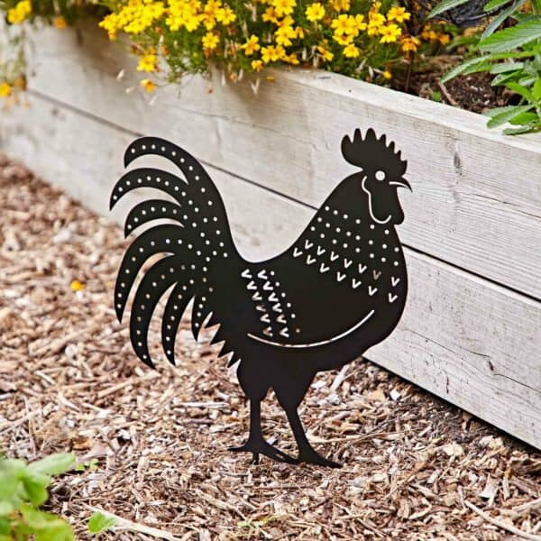 The Recycled Metal Cockerel Silhouette Garden Stake is placed in mulch beside a wooden raised flower bed with yellow flowers.