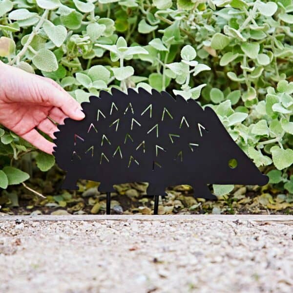 A hand places a black Recycled Metal Hedgehog Silhouette Garden Stake into a garden bed, surrounded by lush green leafy plants in the background.