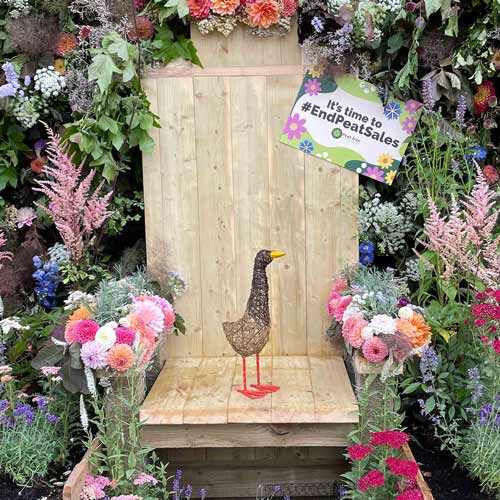 A chair decorated with colorful flowers holds a small duck statue. Behind it, a sign reads "It's time to #EndPeatSales" amid lush greenery and blooms at the Hampton Court Palace Garden Festival.
