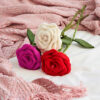 Three Felt Roses pieces in white, red, and purple rest on a white surface beside a textured pink rug.